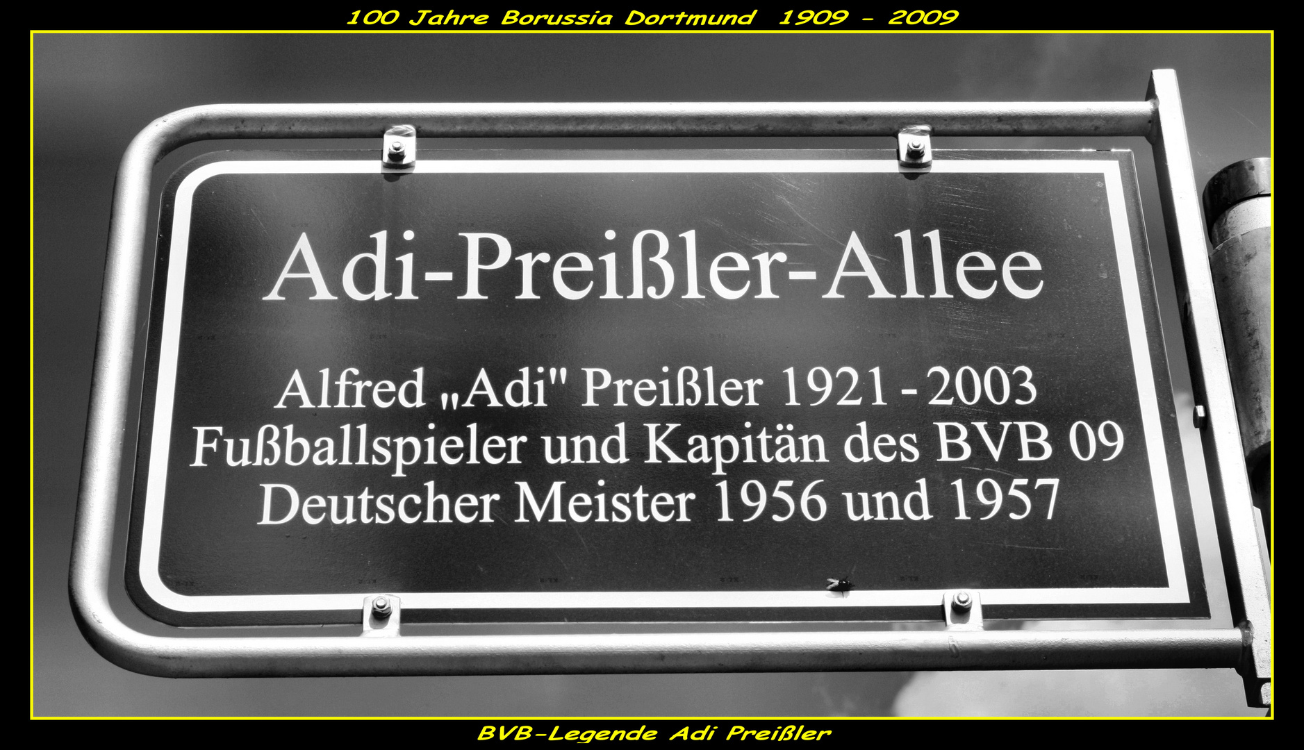 Adi Preißler Grau is alle Theorie-Gray is all theory-Gray est toute théorie