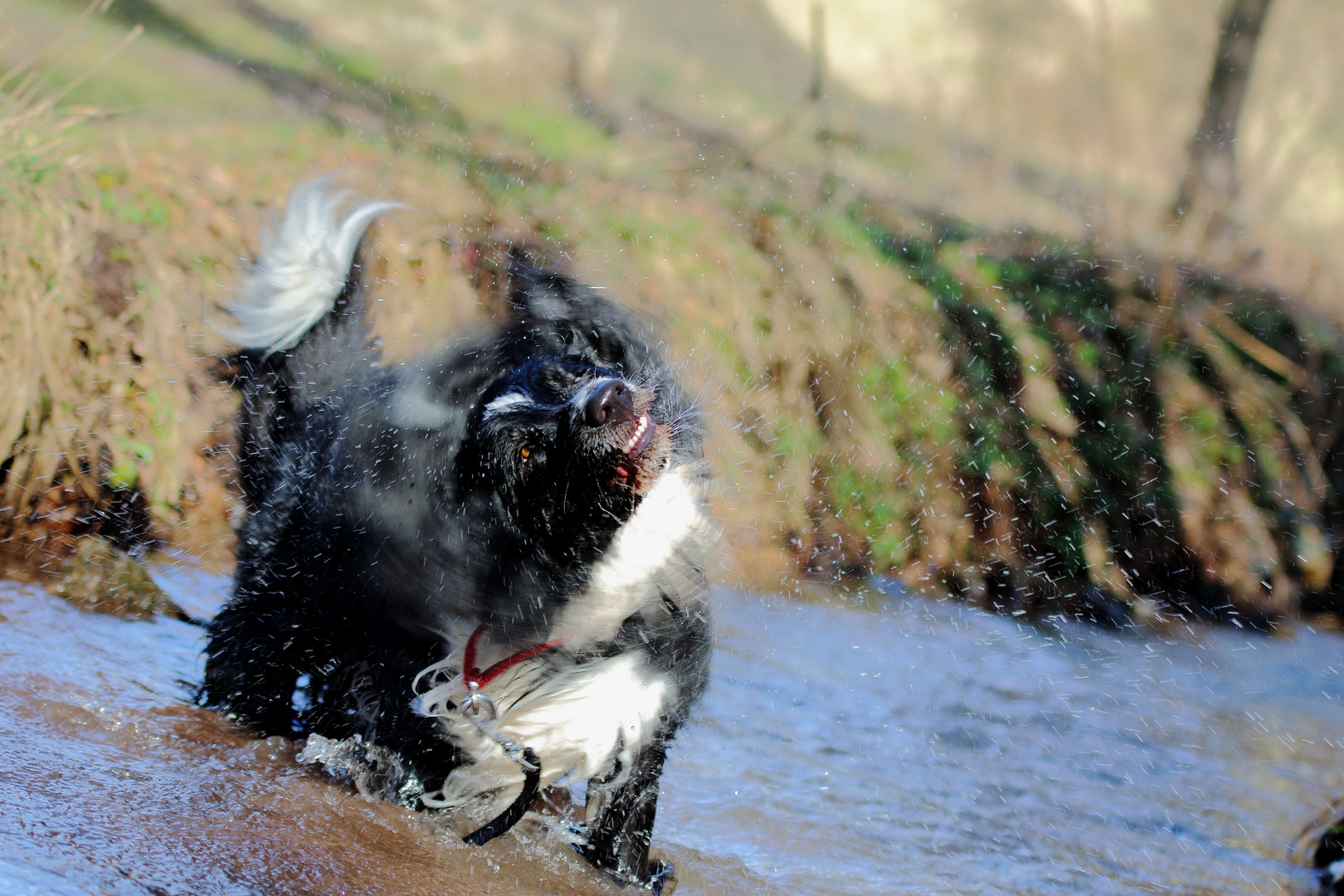 Adi und Wasser