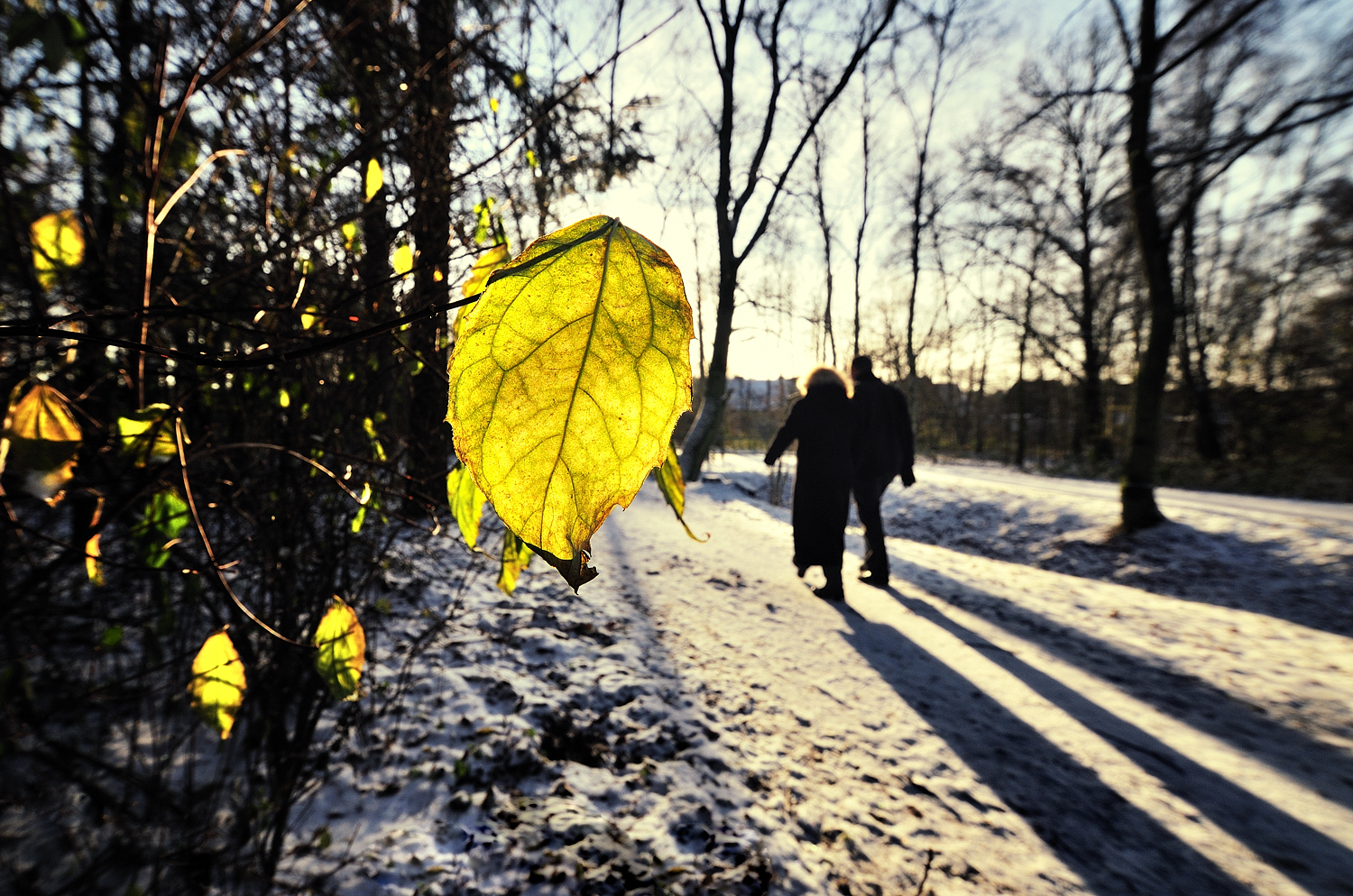 Adieu Herbst