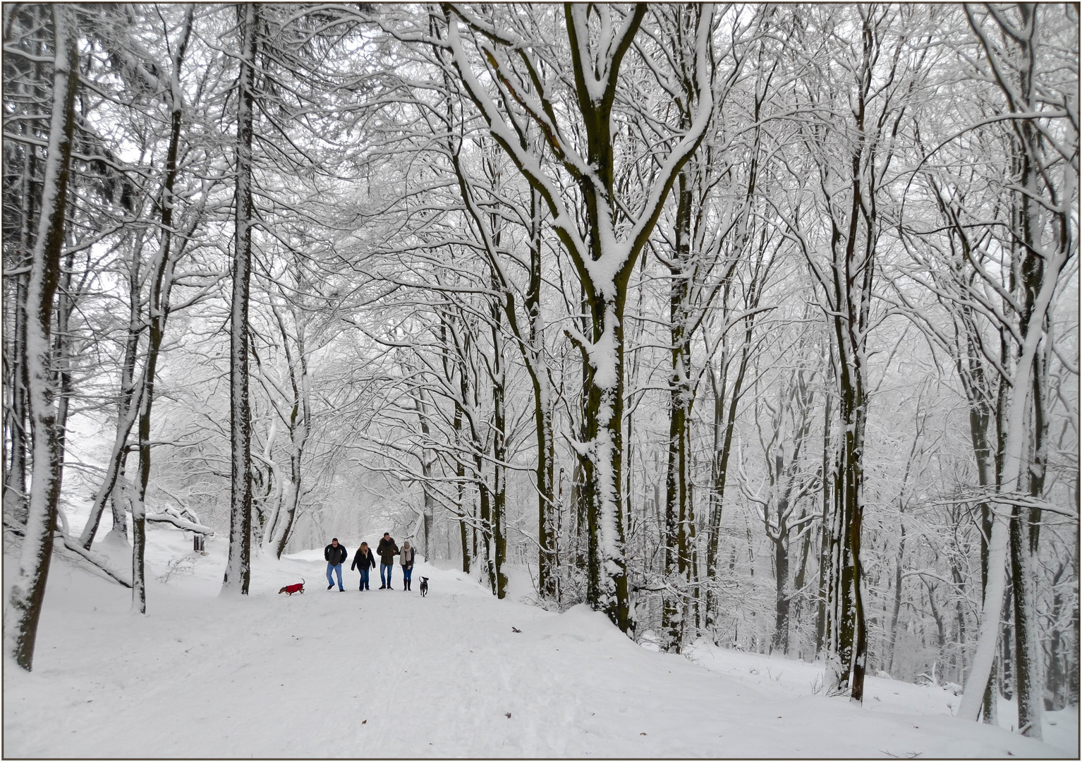 Adieu, ihr Winterfreuden