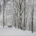 Adieu, ihr Winterfreuden