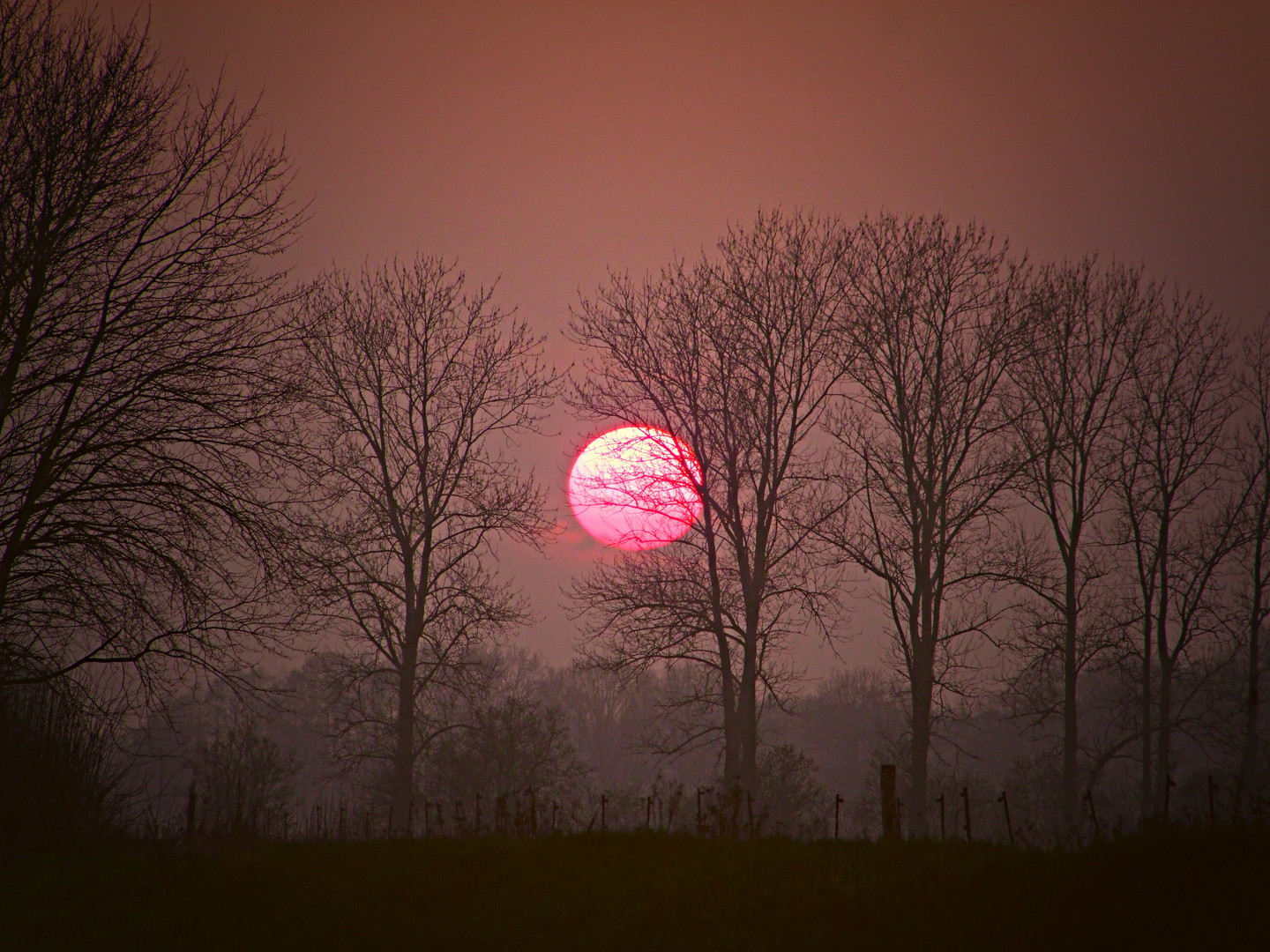Adieu Liebe Sonne Foto Bild Jahreszeiten Herbst Mystische Abendsonne Bilder Auf Fotocommunity