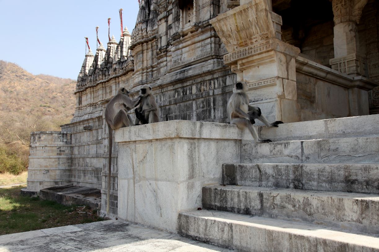 Adinatha_Tempel_Ranakpur