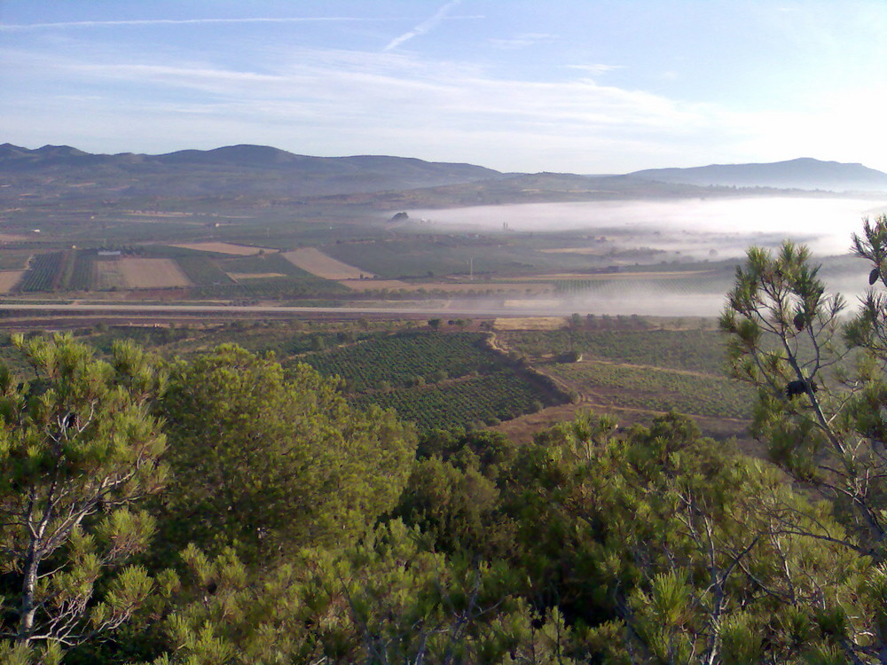 adios niebla