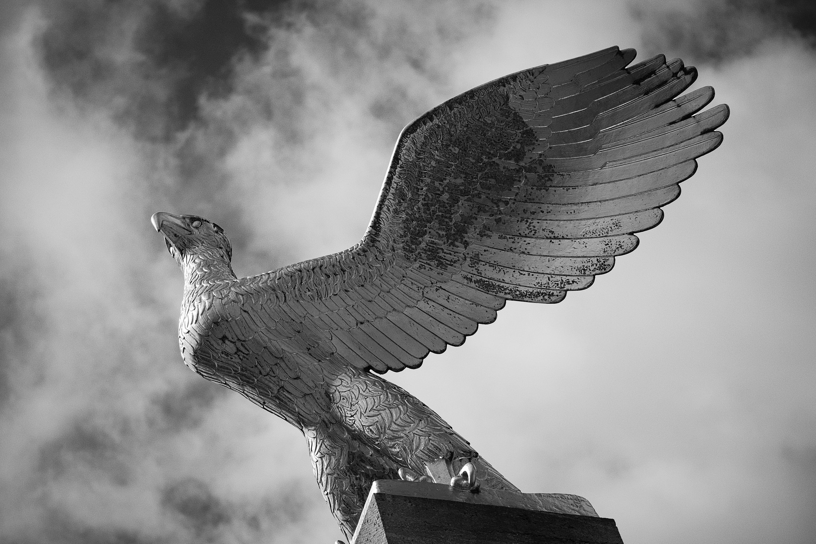 Adler auf dem Olympiastadion Gelände