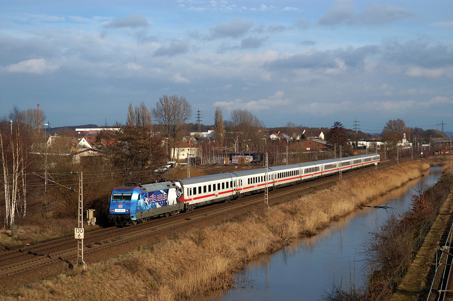 Adler fliegen auch in Osnabrück...