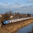 Adler fliegen auch in Osnabrück...