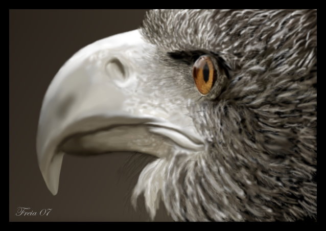 Adler - Gemalt mit Photoimpact