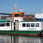 Adler I