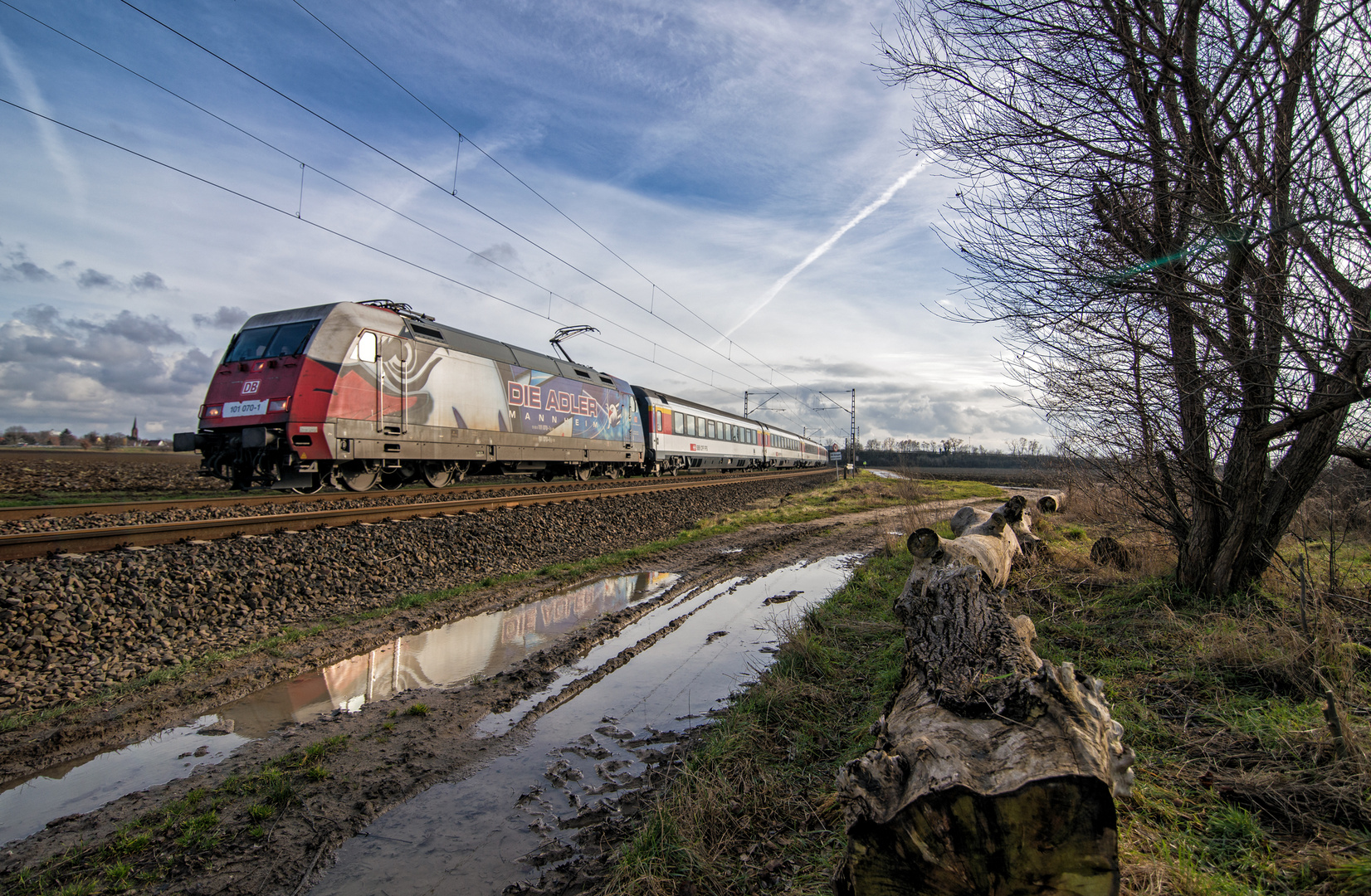 Adler im Anflug