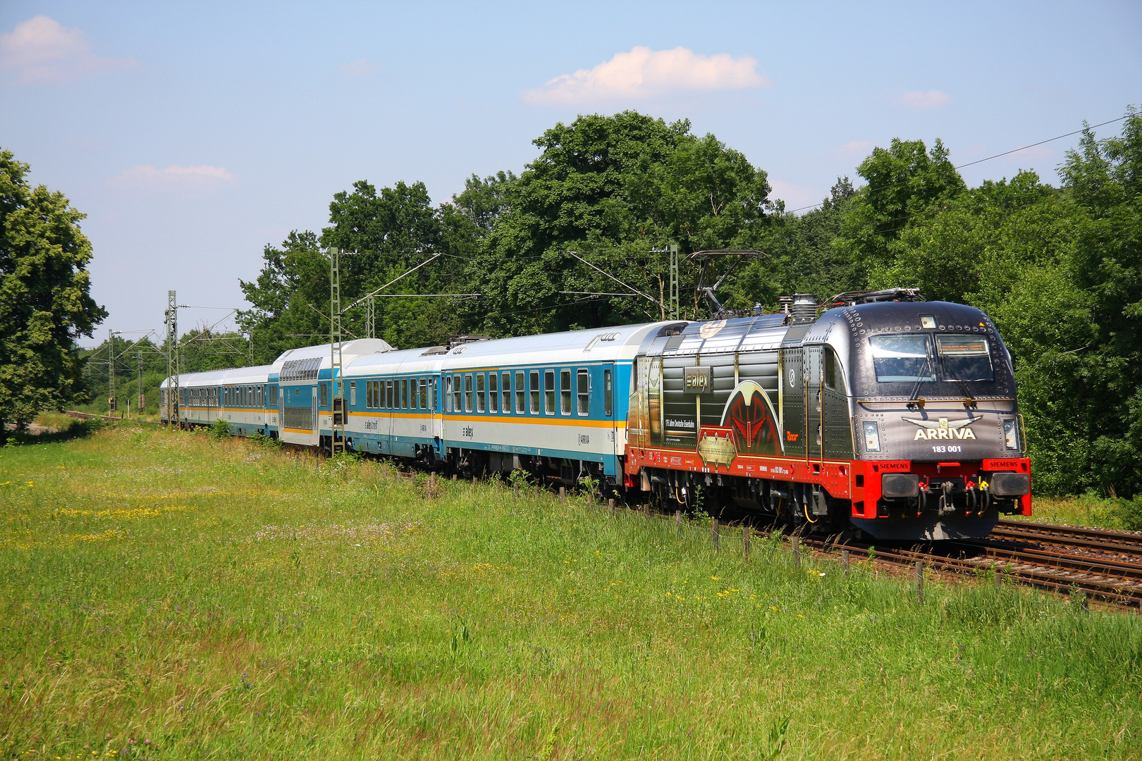 Adler im Anflug auf München Hbf