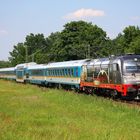 Adler im Anflug auf München Hbf