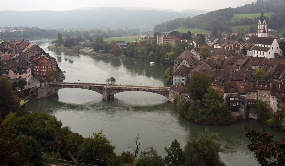 Adler im Landeanflug