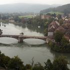 Adler im Landeanflug