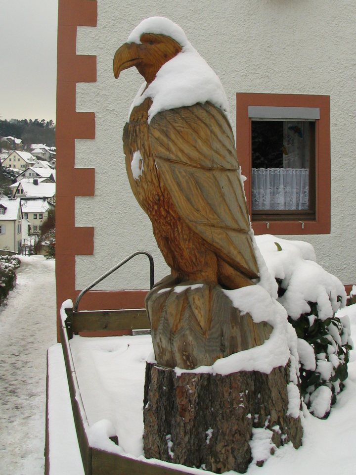 Adler im Schnee