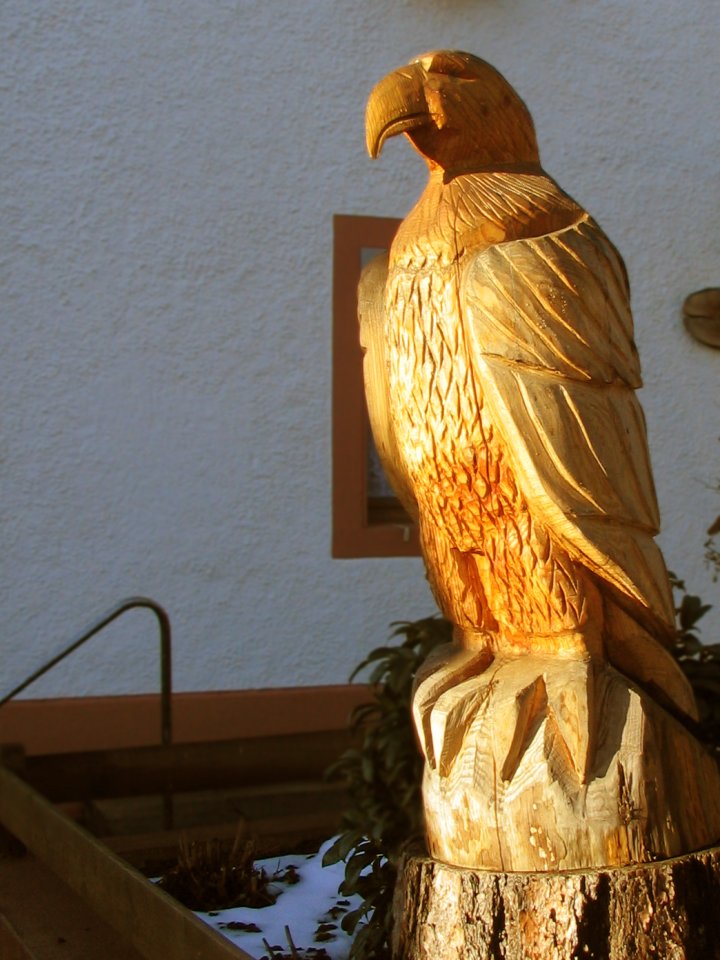 Adler im Sonnenschein (2ter Versuch)