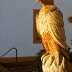 Adler im Sonnenschein (2ter Versuch)