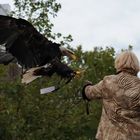 Adler in Photokina