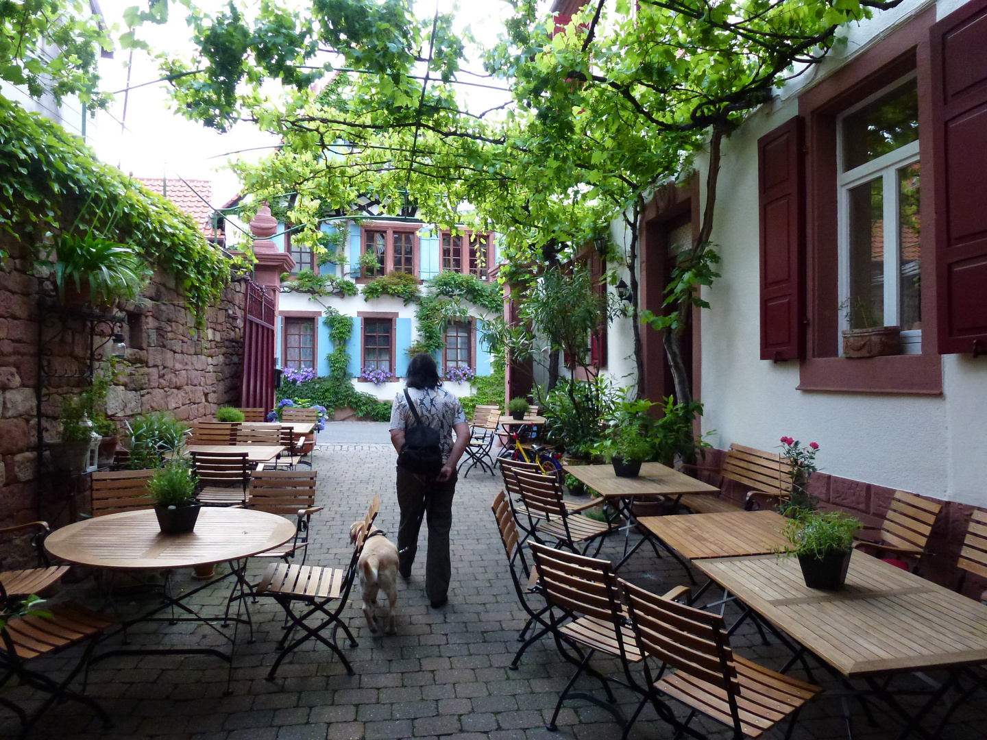 Adler in Roth unter der Rietburg