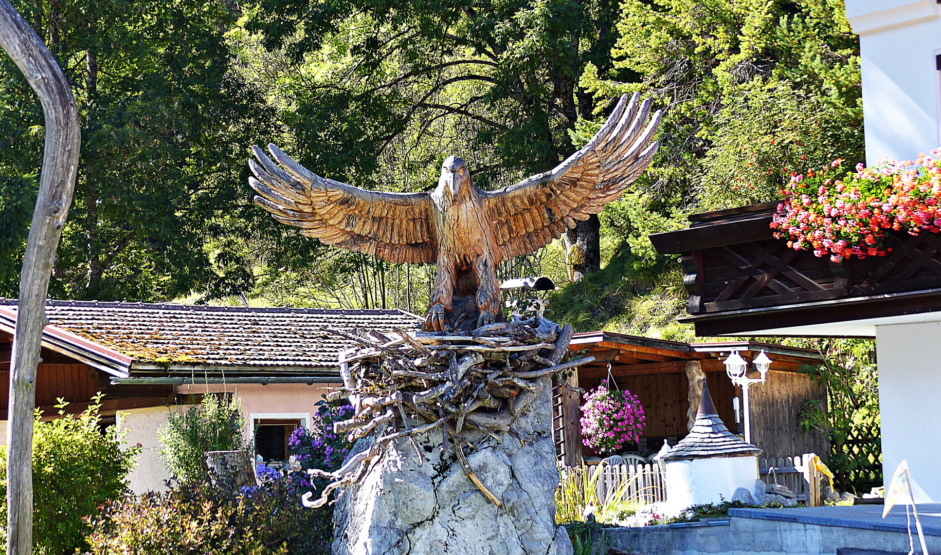 Adler in seinem Horst