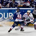 Adler Mannheim vs. Iserlohn Roosters