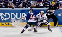 Adler Mannheim vs. Iserlohn Roosters