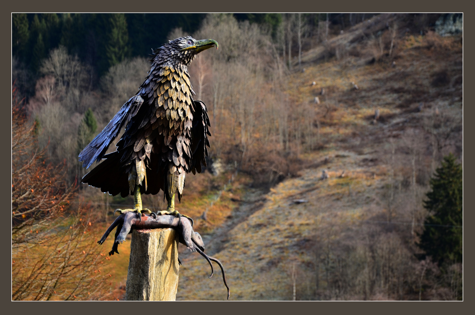 Adler mit Beute im Morgenlicht