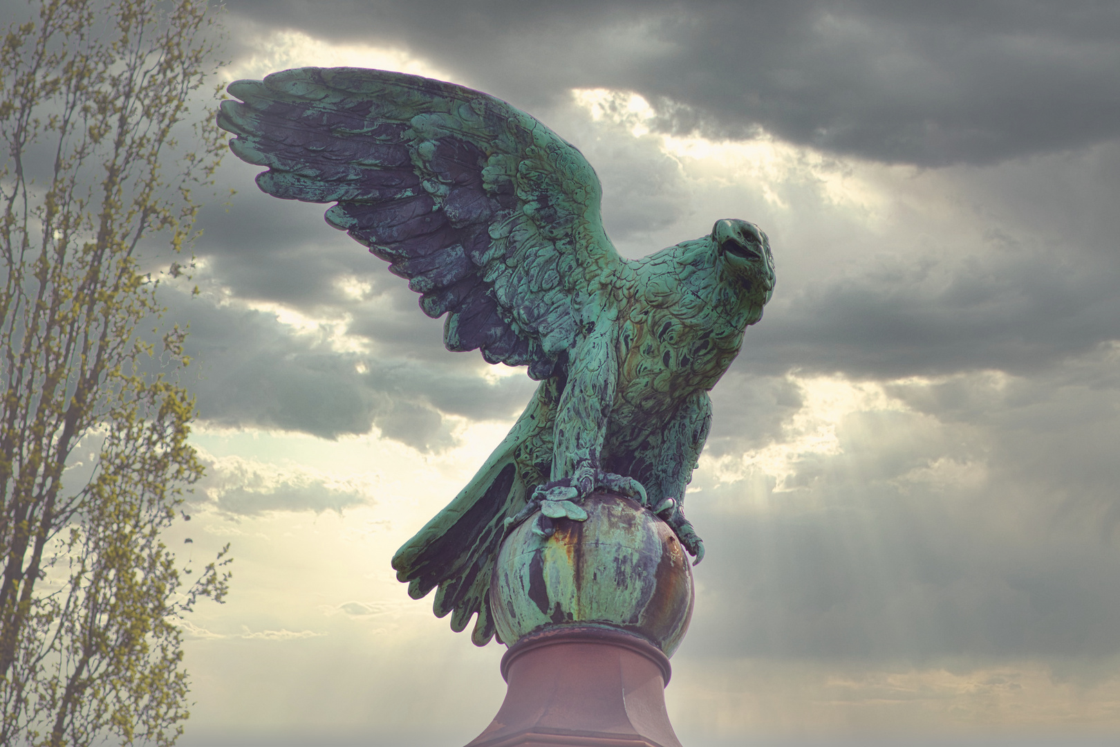Adler - Teil eines Kriegerdenkmals