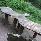 Adler-Tisch im Wald bei Heidelberg