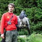 Adler vor dem Start - Wildgehege Hellenthal