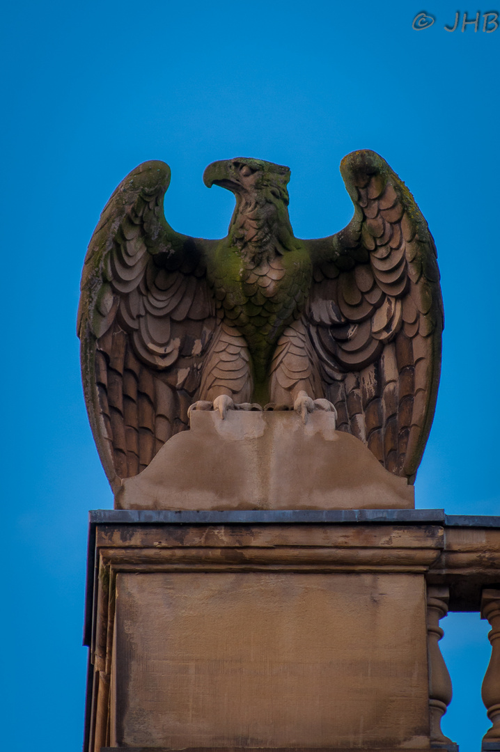 Adler vor Museum König Bonn