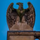 Adler vor Museum König Bonn