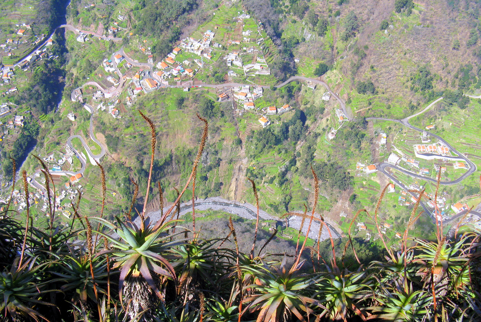 Adlerblick auf Madeira