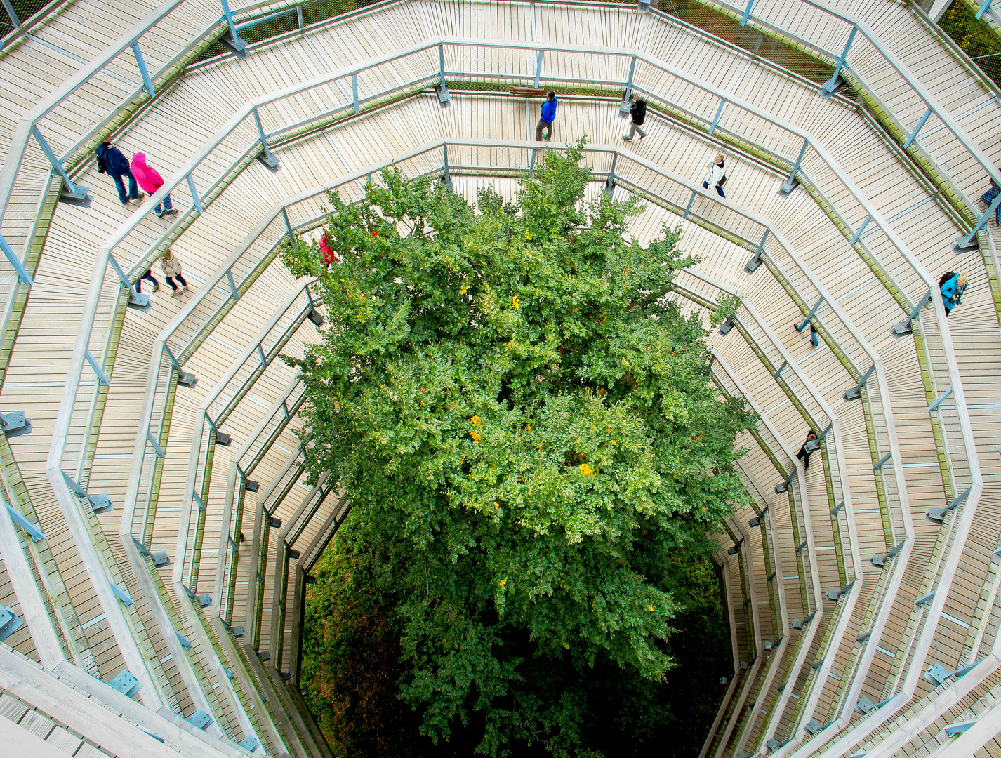 Adlerhorst im Naturerbe-Zentrum Rügen