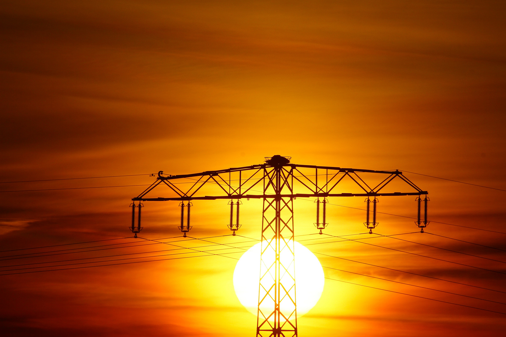 Adlerhorst im Sonnenuntergang / 08. Januar 2024