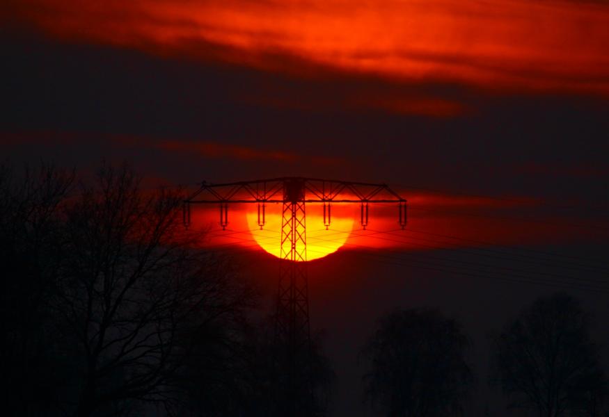 Adlerhorst in der Abendsonne