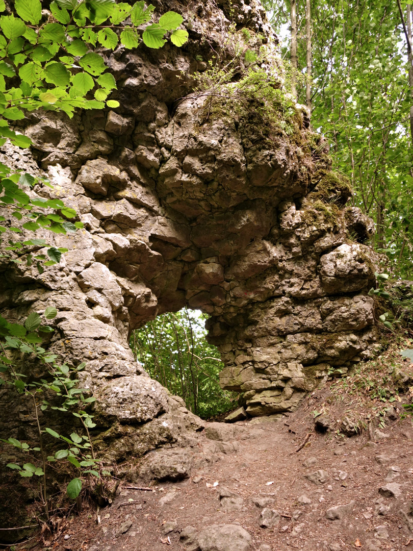 Adlerstein bei Engelhardsberg