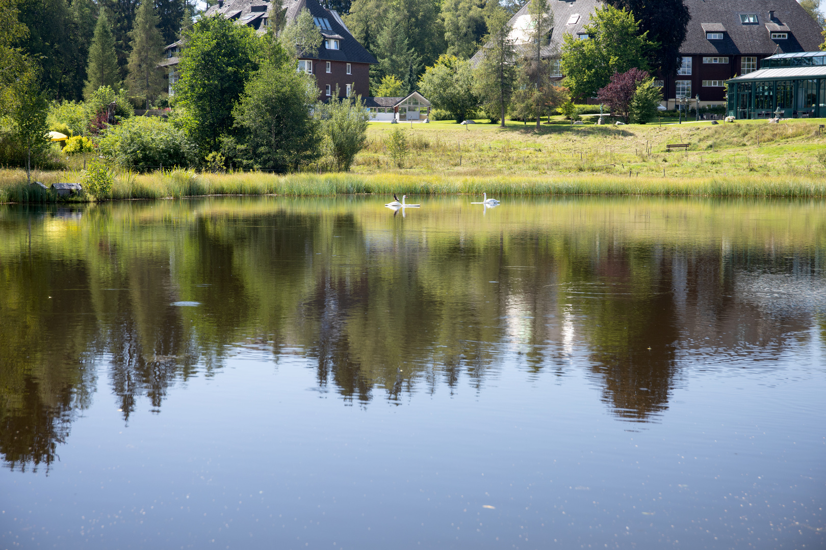 Adlerweiher Hinterzarten