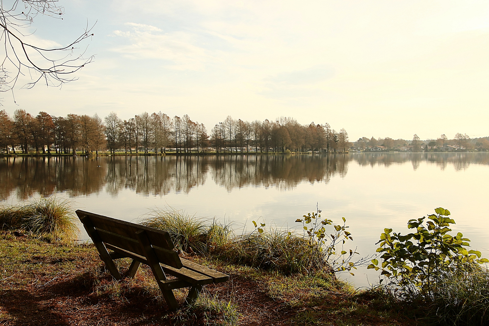 admirer le lac !