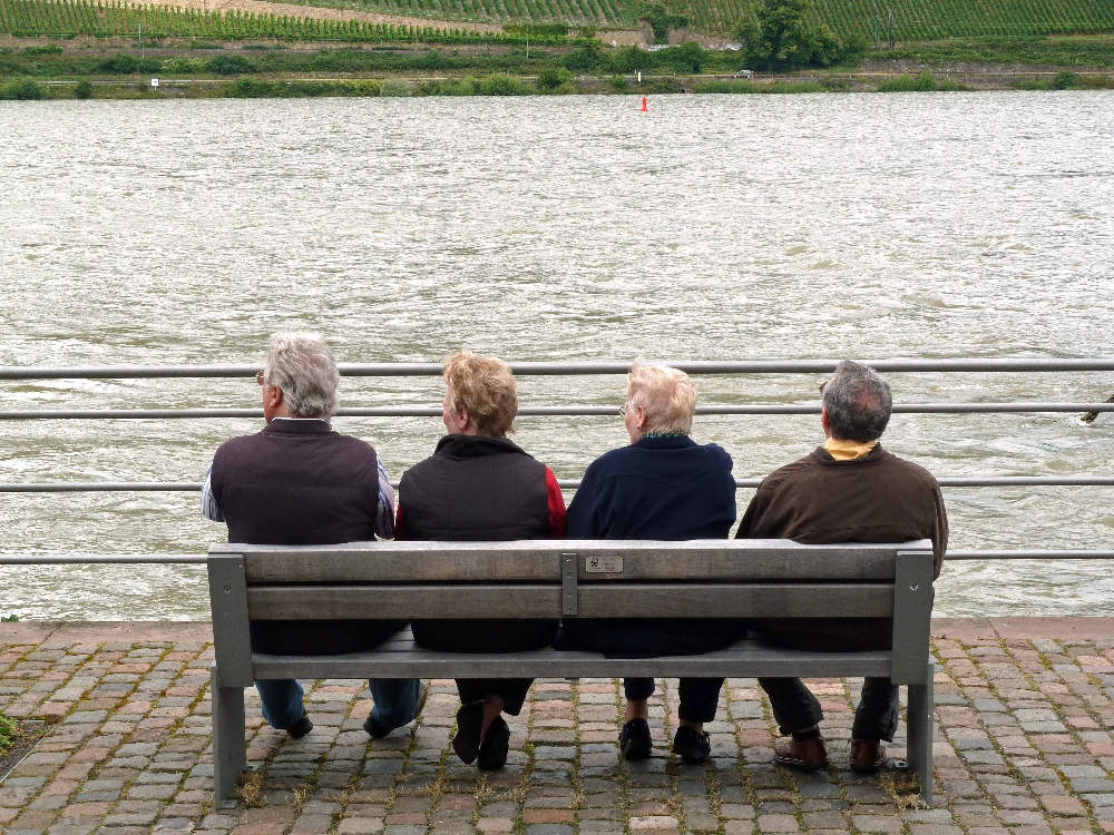 Admiring nature in Bingen