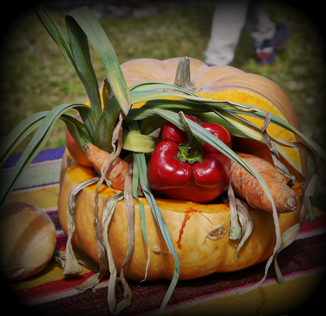 ADORNOS DE UN DIA DE CAMPO