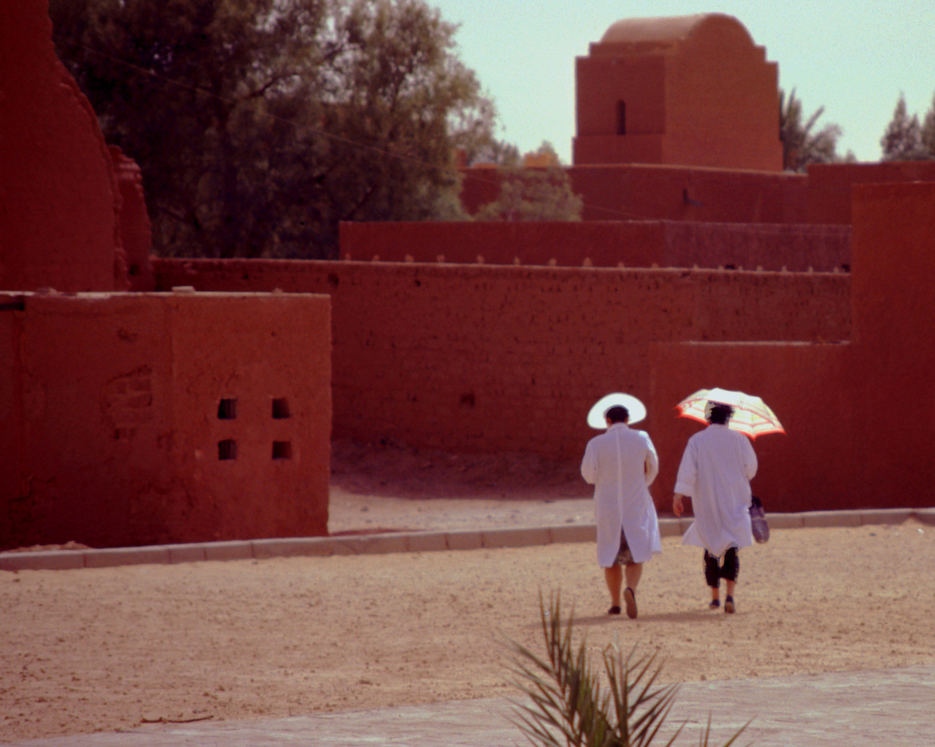 Adrar Zentralsahara (1990)