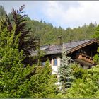 Adresse: Im Bergwald