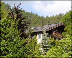 Adresse: Im Bergwald