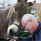 User Profile Photo