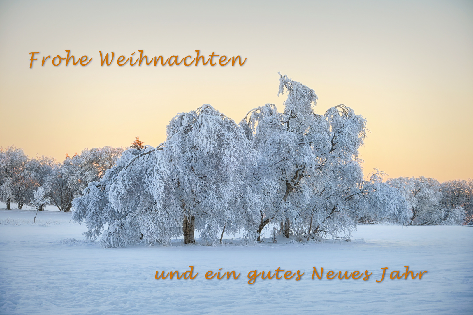 ADSC_6102weihnachten