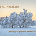 ADSC_6102weihnachten