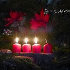 Advent