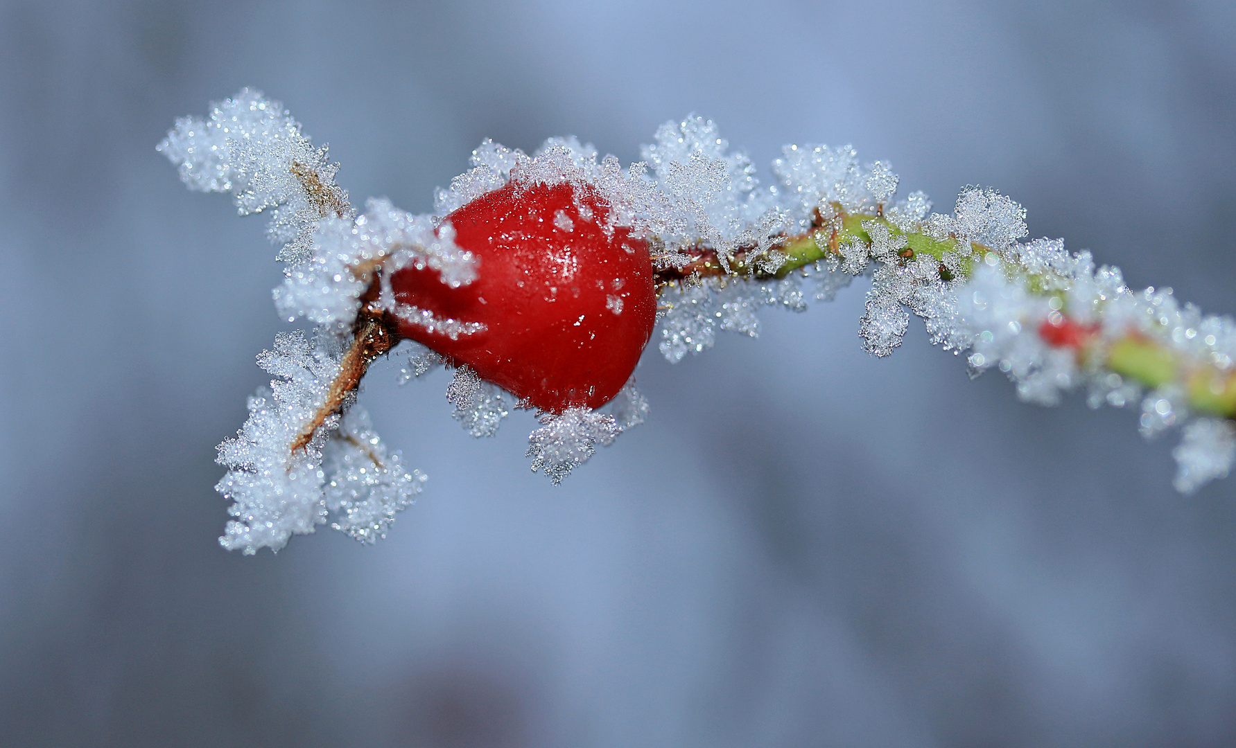 Advent, Advent