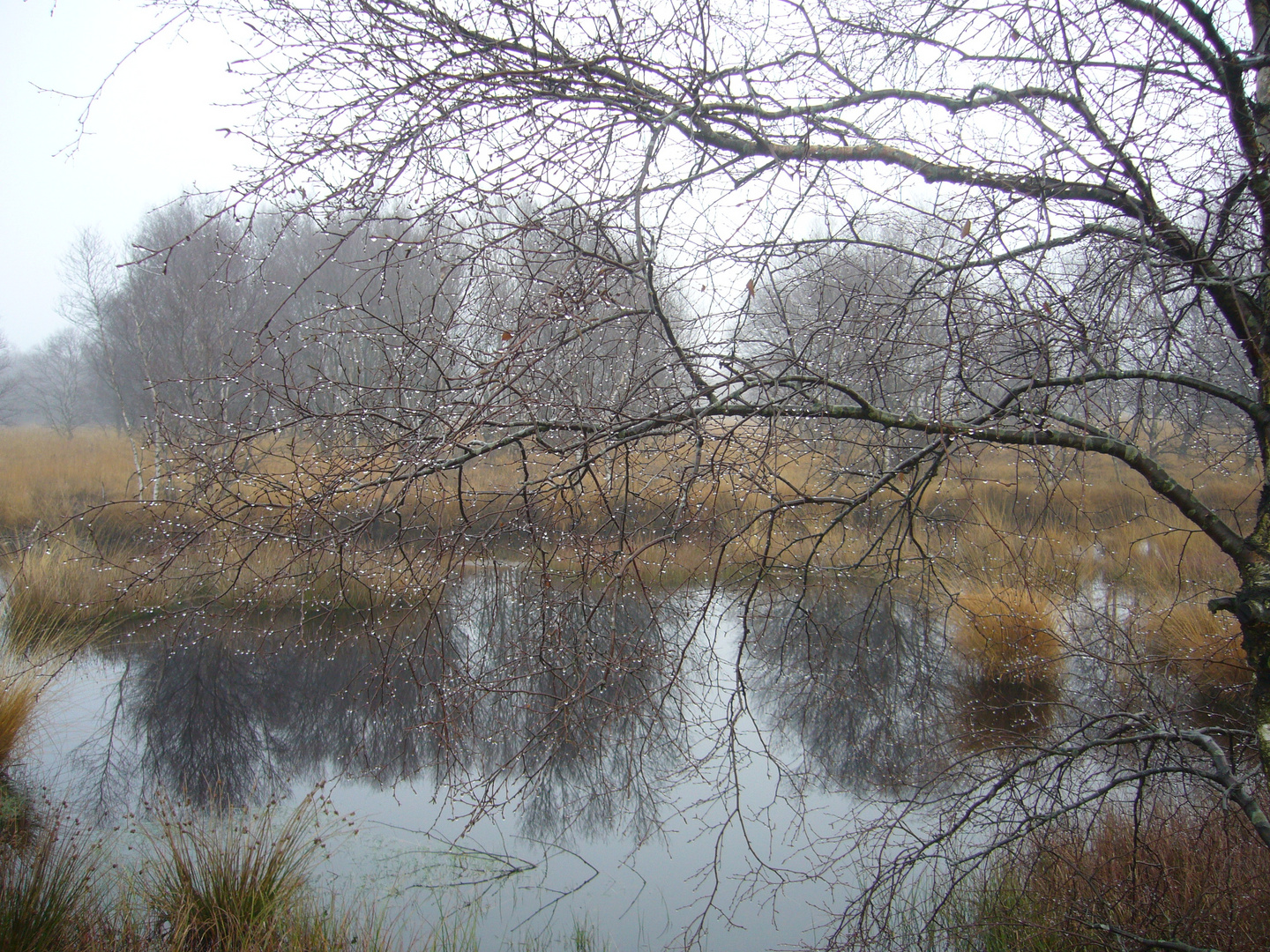 Advent am Ewigen Meer